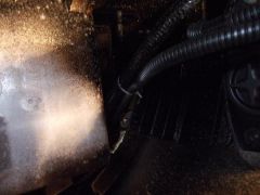 DSCF1525.JPG