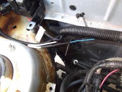 DSCF1545.JPG