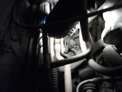 DSCF0309.JPG