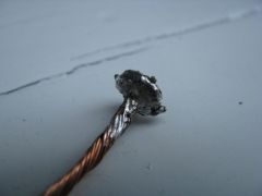IMG_5165.JPG