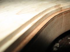 IMG_5411.jpg