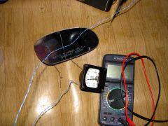 IMG_8157.JPG