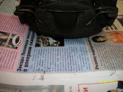 100_0242_640x480.JPG