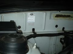 PA240082.JPG