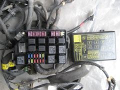 IMG_9041.JPG