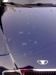 23102011670.jpg