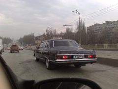 29032010464.jpg