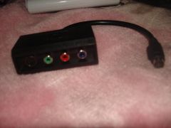 DSC05015.JPG
