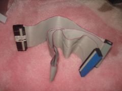 DSC05009.JPG