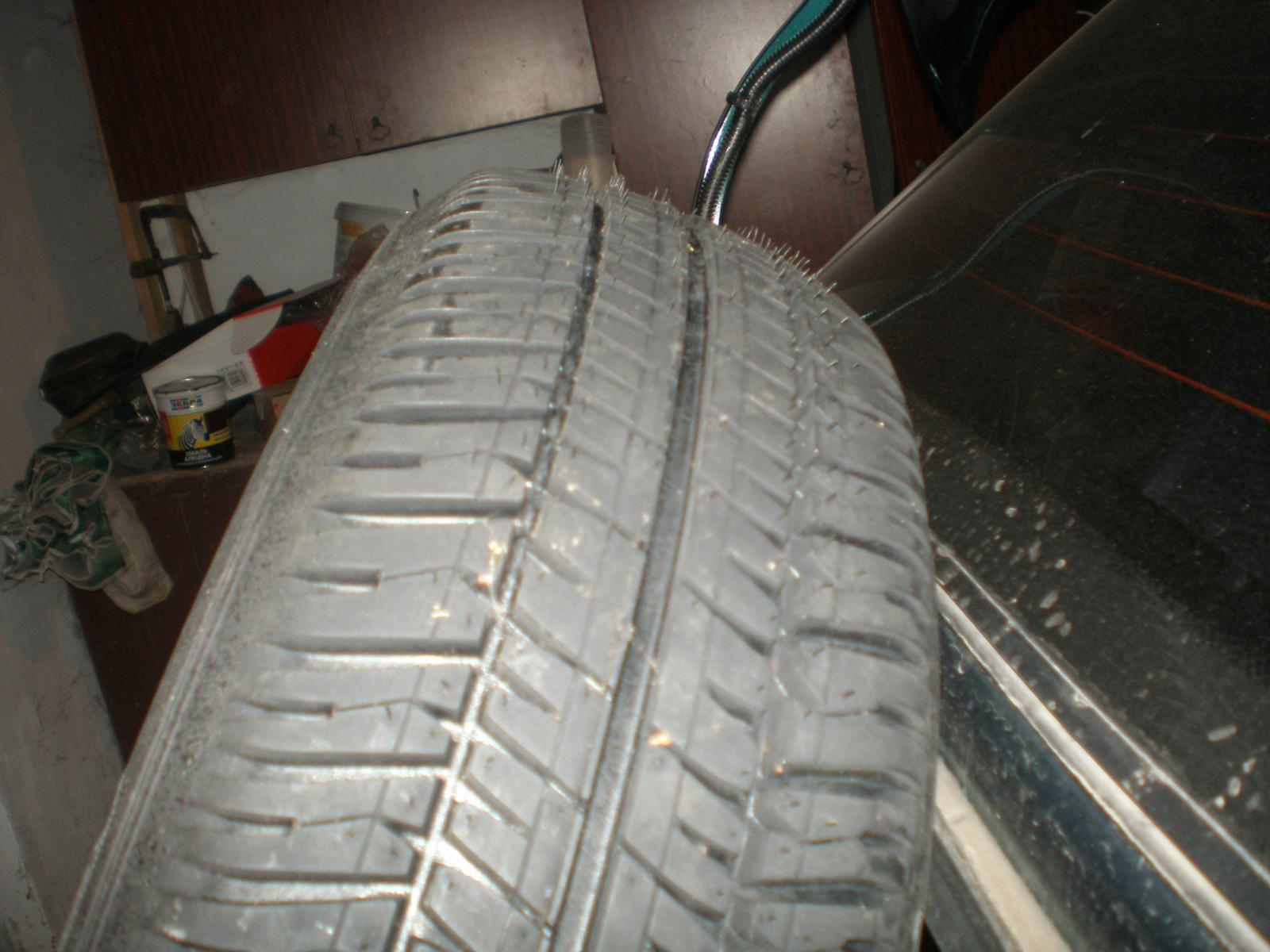 PC090050.JPG