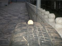PC170084.JPG