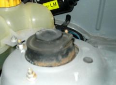 DSCI0777.jpg