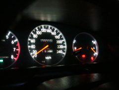 IMG_1943.jpg