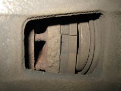 IMG_5115.JPG