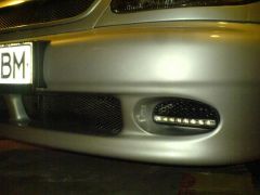DSC01123.jpg
