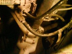 DSC00951.JPG