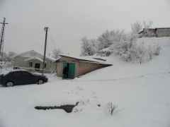 DSC00140.jpg