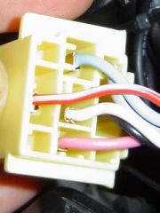DSC03488_other.jpg