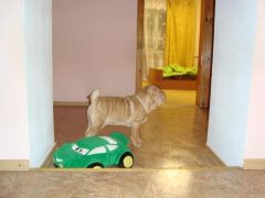 DSC05058_новый размер.JPG