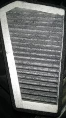 IMAG0320.jpg