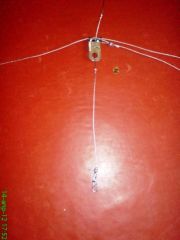 DSC01442.JPG