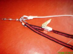DSC01456.JPG