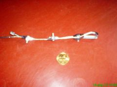 DSC01434.JPG