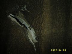 DSCI0898.JPG