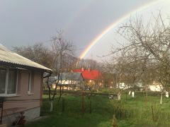 19042012387.jpg