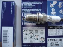 DSC07785.JPG