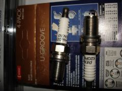 DSC07790.JPG