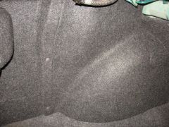 IMG_5879.jpg