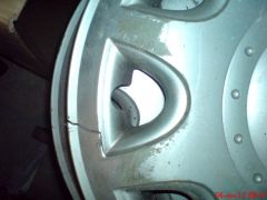 DSC02459.JPG