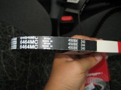 IMG_5575.JPG
