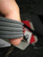 IMG_5572.JPG