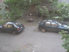 IMG_1195.JPG