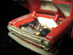 IMG_5655.jpg