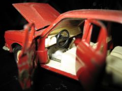 IMG_5656.jpg