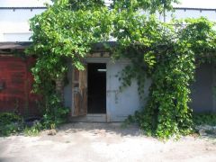 IMG_6193.JPG