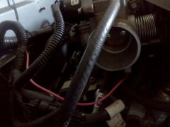 IMG_20120724_175627.jpg