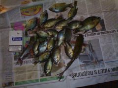 24072012511.jpg