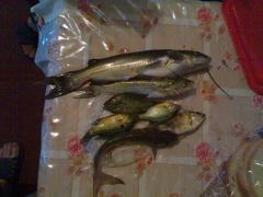 25072012512.jpg