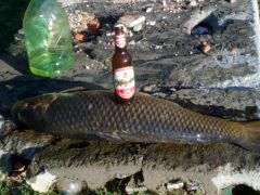 27072012034.jpg