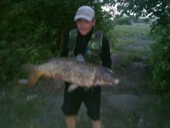 27072012026.jpg