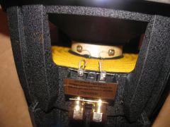 IMG_4847.JPG