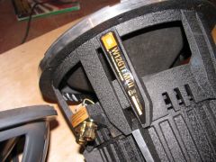 IMG_4842.JPG
