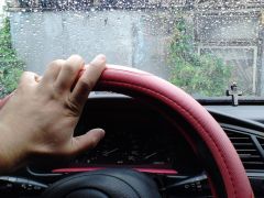 DSC0000037.jpg