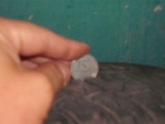 DSCF0990.JPG