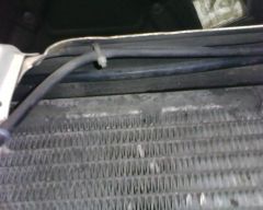 IMG0208A.jpg
