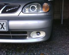 IMG0217A.jpg